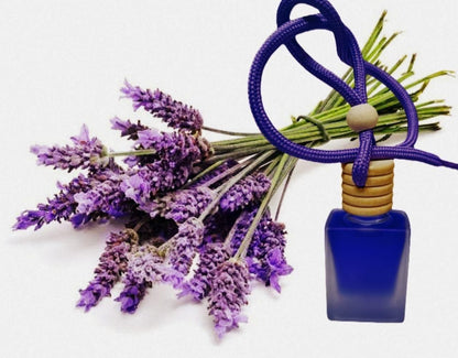 Hanging Car Perfume Pods Diffuser Scent (Assorted Perfume) it3qpj-2a